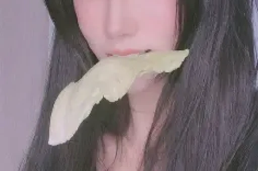 黑龙江绥化：春风润乡土 国债助农兴