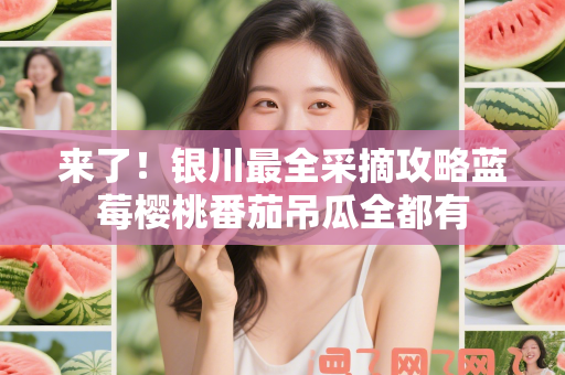 来了！银川最全采摘攻略蓝莓樱桃番茄吊瓜全都有