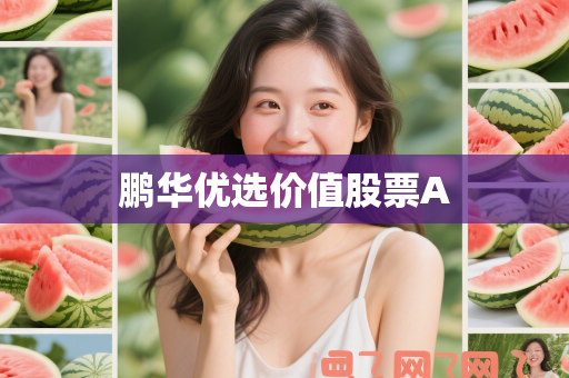 鹏华优选价值股票A