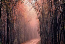 快讯！约翰·霍普金斯大学：全球新冠病毒累计死亡人数超500万例